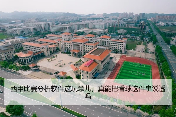 西甲比赛分析软件这玩意儿，真能把看球这件事说透吗 - leyu