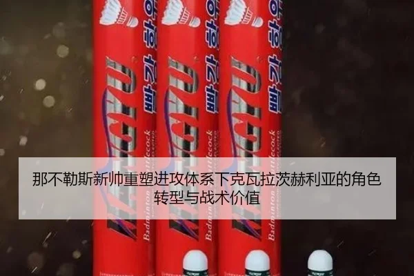 那不勒斯新帅重塑进攻体系下克瓦拉茨赫利亚的角色转型与战术价值 - leyu