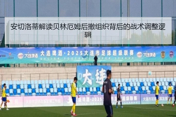 安切洛蒂解读贝林厄姆后撤组织背后的战术调整逻辑 - leyu