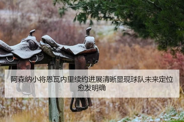 阿森纳小将恩瓦内里续约进展清晰显现球队未来定位愈发明确 - leyu