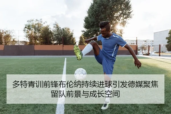 多特青训前锋布伦纳持续进球引发德媒聚焦留队前景与成长空间 - leyu
