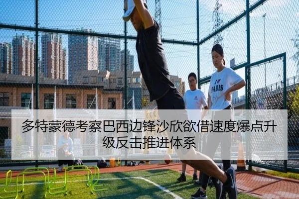 多特蒙德考察巴西边锋沙欣欲借速度爆点升级反击推进体系（leyu）